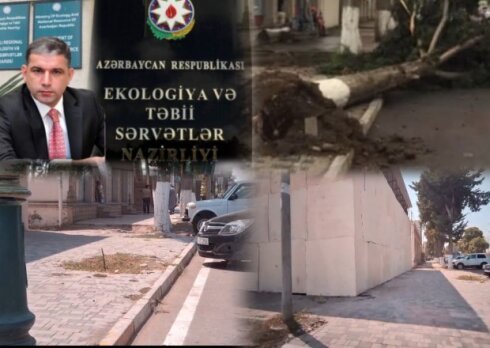 Ağstafada Ümummilli liderin adını daşıyan prospektdə \"ekoloji Terror\"/ Ağacı kəsib, Obyekt tikirlər / VİDEO