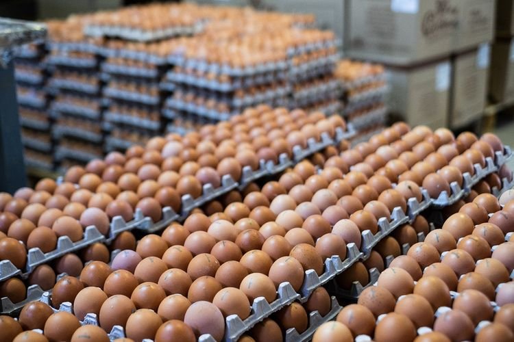 “Hacıqabul Quşçuluq Şirkəti” ilə bağlı ilginc iddia: Köhnə yumurtalar yeni tarixlə satılır?