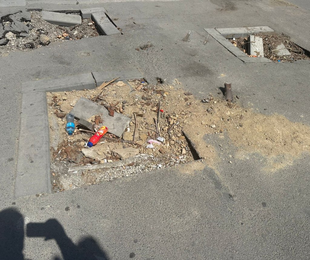 Nərimanov rayonu ərazisində Mirdaməd Seyidov yaşıl ağaclar niyə kəsdirib? Video-Fotofakt