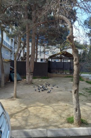 Leyla Əliyeva abadlaşdırdı, “Smartdom” MMC məhv etdi – Ölkə rəhbərliyinə ŞOK məktub/FOTOLAR