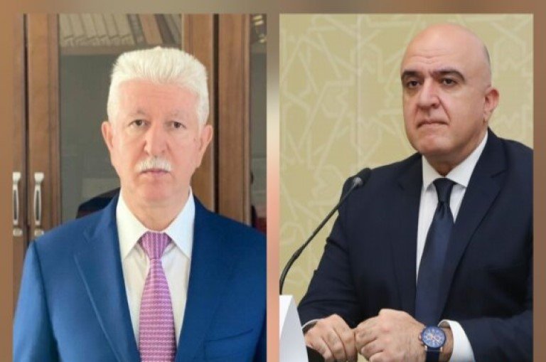 Cəlilabadda ağacyeyənlər peyda olub?! -FOTOFAKT