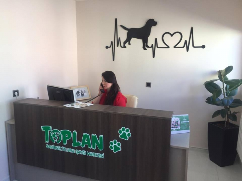 “Sahibsiz Heyvanlara Qayğı Mərkəzi” dövlət büdcəsinin qayğısına belə qalır -Elektron satınalma olmadan, bir şirkətlə 2 müqavilə(?)!