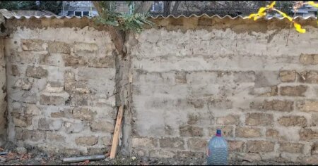 Nizami rayonunda AĞACI DİVARA HÖRDÜLƏR... - DƏLİXANADIR, VALLAH...