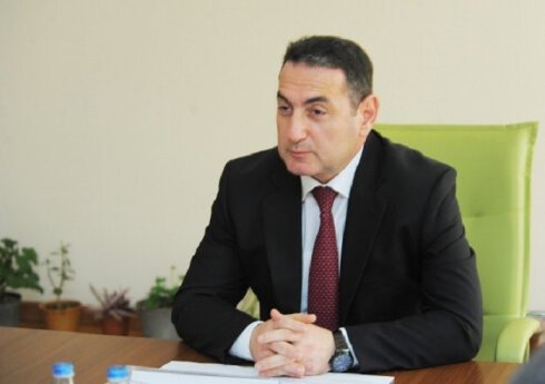 Nazim Qasımov həkim olmayan Nigar Sultanovaya necə şəhadətnamə verib? -Araşdırma