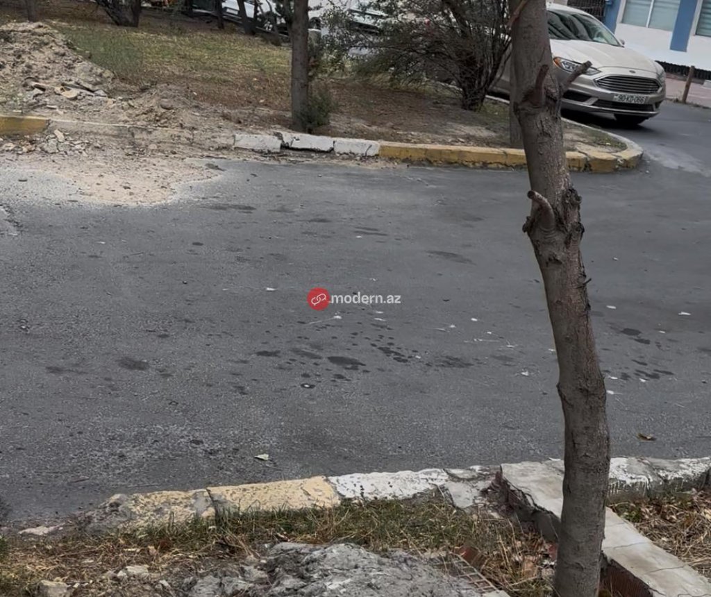 Binəqədi rayonunda yeni qanunsuz obyekt tikintisi üçün ərazi hazırlanır? -Ağaclar belə məhv edilir-Fotofakt