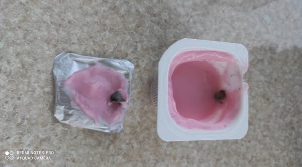 “Tamstore” müştəriləri kiflənmiş məhsullar satılı-Fotolar