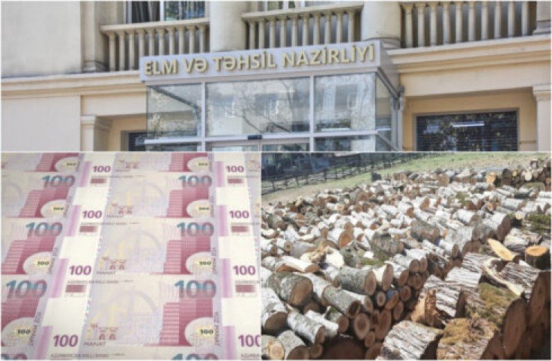 Elm və Təhsil Nazirliyi 2 milyona aldığı odun yanacağını 1,5 milyona daşıtdırır – Analoqu olmayan işdi