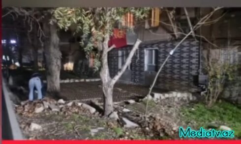 Binəqədidə ekoloji cinayət: ağaclar beton altında boğulur-FOTOFAKT