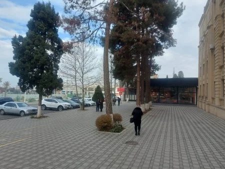 Gəncədə səkidə obyekt tikintisinə iki dəfə icazə GDU-nun yanında qanunsuzluğa kim yol açır?