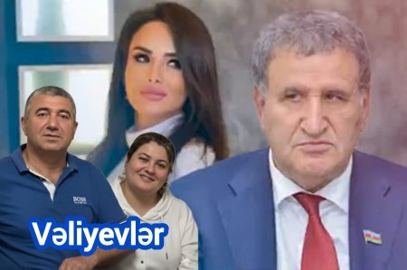 Vəliyevlər ailəsinin Almaniyada Aərbaycana və Azərbaycanlılara qarşı cinayətləri - VİDEO