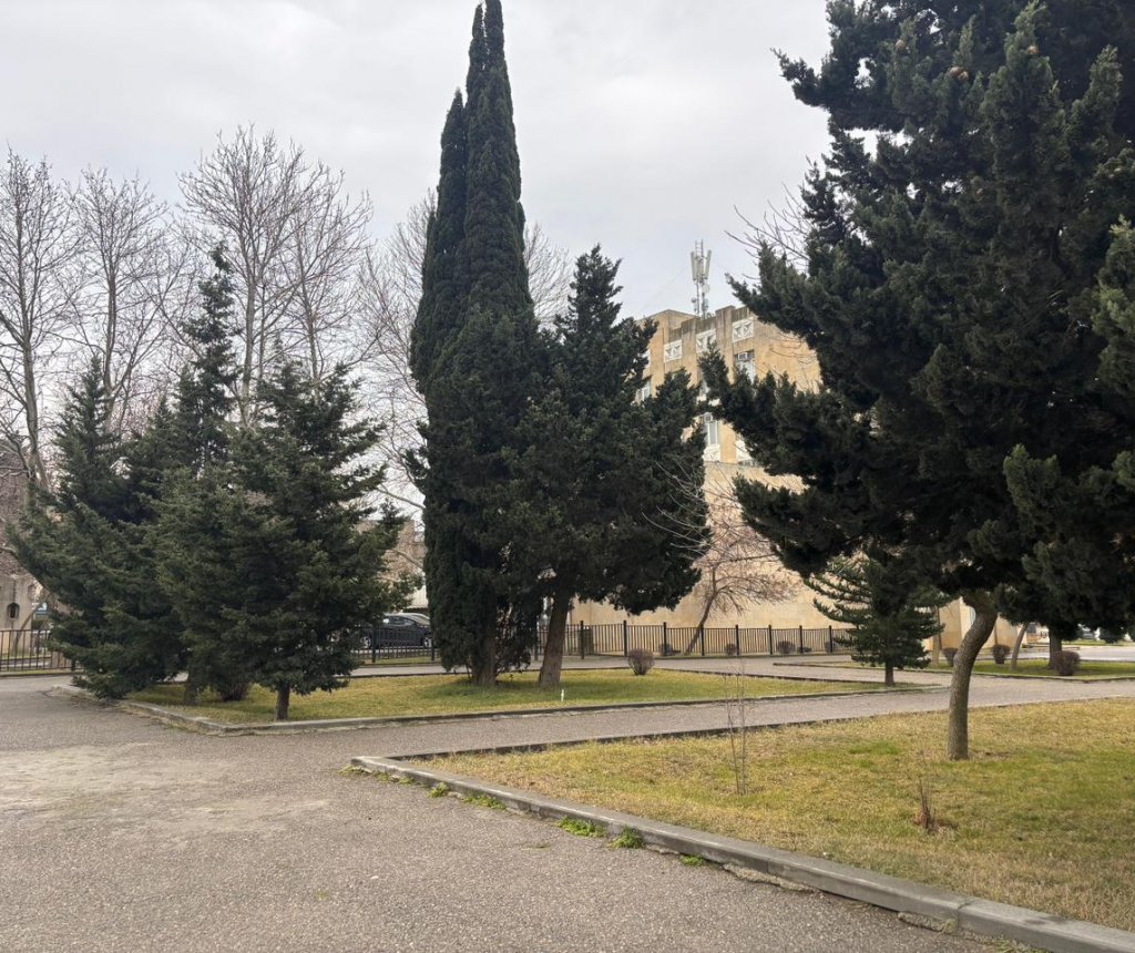 Nizami rayonunda park yoxa çıxır – Avtomobil dayanacağına çevrildiyi iddia olunur