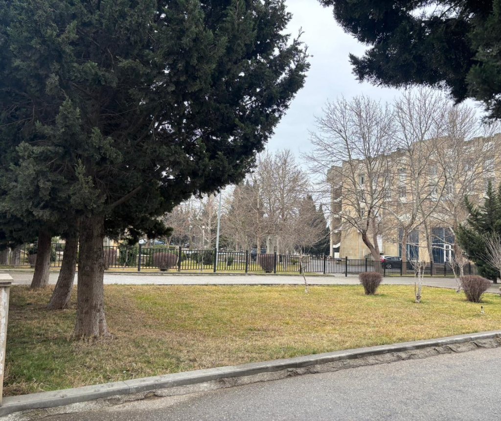 Nizami rayonunda park yoxa çıxır – Avtomobil dayanacağına çevrildiyi iddia olunur