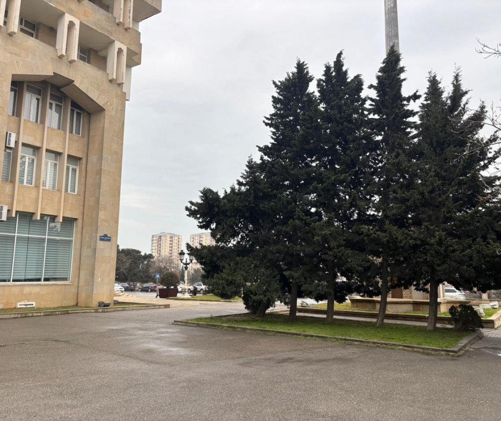 Nizami rayonunda park yoxa çıxır – Avtomobil dayanacağına çevrildiyi iddia olunur