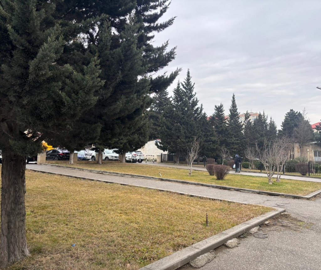 Nizami rayonunda park yoxa çıxır – Avtomobil dayanacağına çevrildiyi iddia olunur