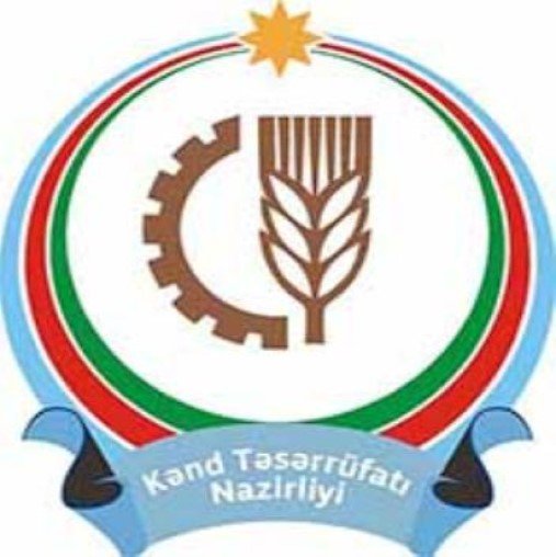 Neft avtomatlaşdırmasından aqrar siyasətə – bu karyera doğrudanmı məntiqlidir?
