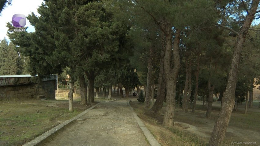 Binəqədi rayonunda parkda göl qurudulur? -Video