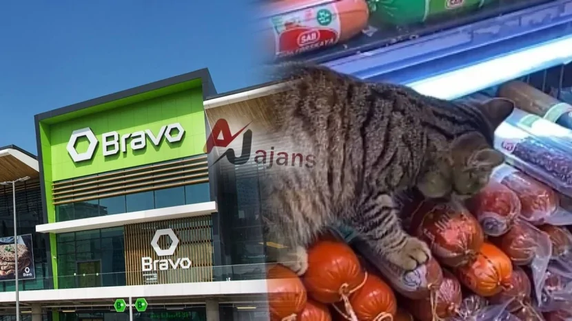 “Bravo”da antinatitar vəziyyət: Ətlərin dadına birinci pişik baxır-Video