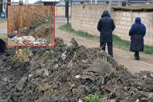 Azərbaycanda yeni "xidmət": "Qurbağalar dalaşanda ayırırıq" - VİDEO