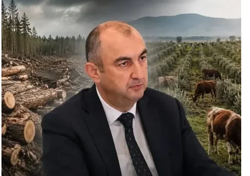 Dövlətin yaşıl siyasətini “qara biznes”ə çevirənlər… - Ekologiyanın “boz kardinal”ı Vüqar Kərimova ağır ittihamlar