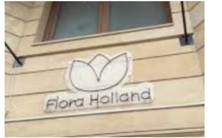“Flora Holland” MMC-yə satınalmalarda belə geniş şəriti kimlər yaradır - İLGİNC FAKTLAR...